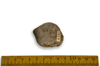 F 02385
<br/>
<br/>
<em></em>